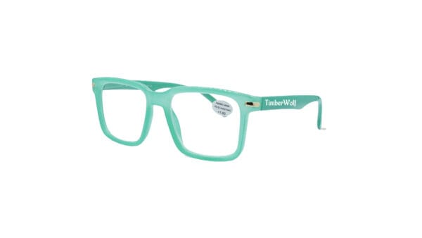 BANDERA(LIGHT GREEN)